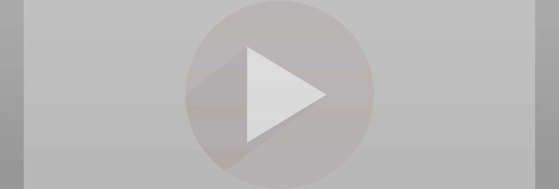 World's Funniest Animals Summer Fling